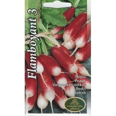 Redīsi Flamboyant 3, Kurzemes sēklas, 4 g