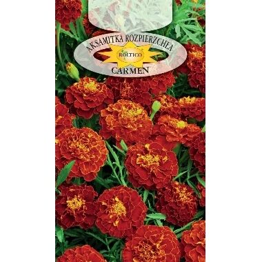 Samtenes Carmen, Roltico, 1 g