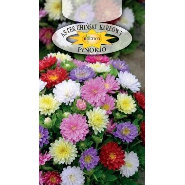 Asteres Pinokio Mix, Roltico, 0,5 g