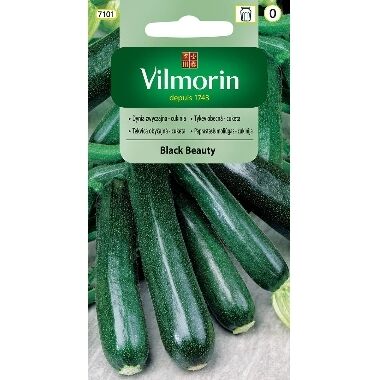 Cukini Black Beauty, Vilmorin, 2 g