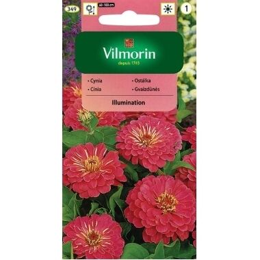 Cinnijas dālijziedu Illumination, Vilmorin, 1 g