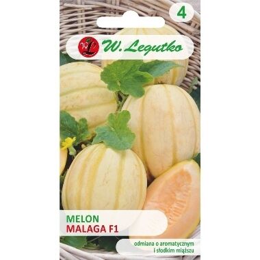 Melone Malaga F1, W.Legutko, 0,5 g