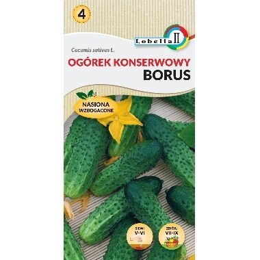 Gurķi Borus F1, Lobelia, 5 g