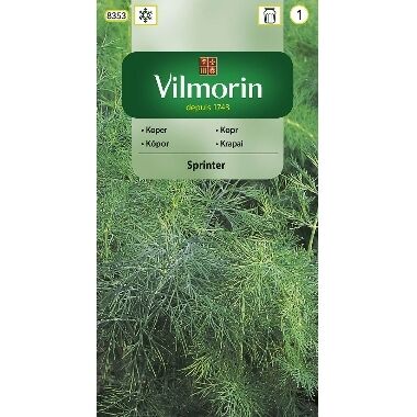 Dilles Sprinter, Vilmorin, 5 g