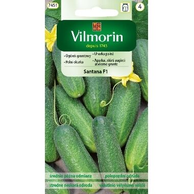 Gurķi Santana F1, Vilmorin, 3 g