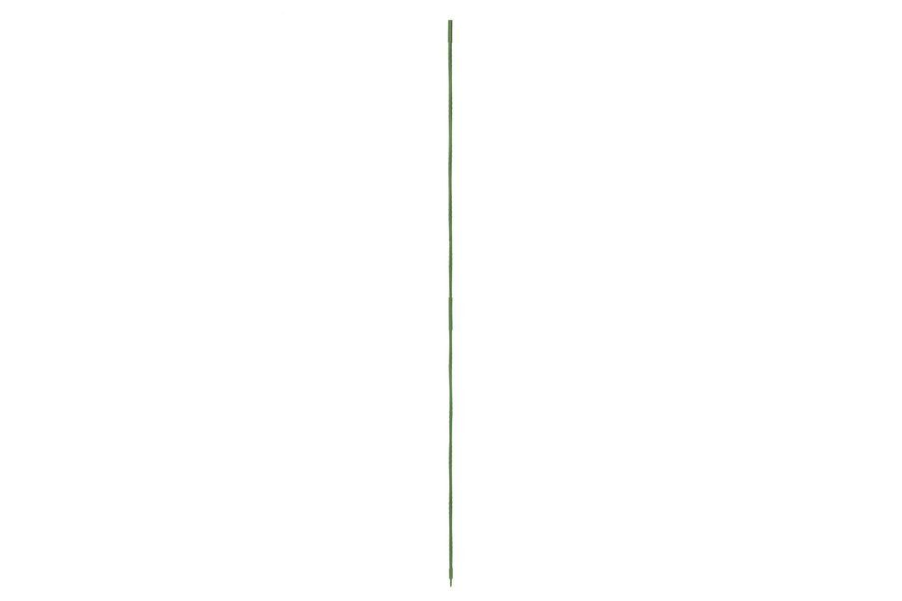Attēls #2