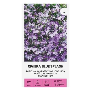 Lobēlija Riviera Blue Splash, Seklos LT, 40 sēklas