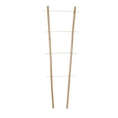 Atbalsta trepītes vīteņaugiem bambusa, 45 cm
