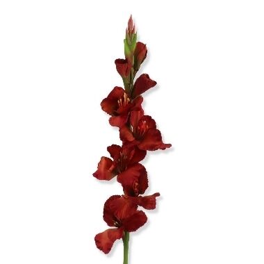 Mākslīgais zieds gladiola tumši sarkana, 85 cm