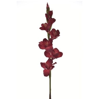 Mākslīgais zieds gladiola sarkana, 85 cm