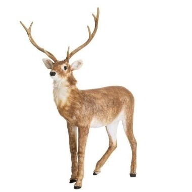 Ziemeļbriedis kustīgs Winteria, 143 cm