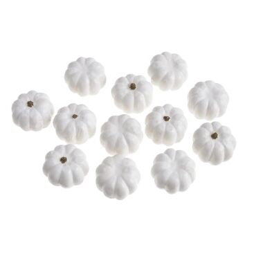 Dekoratīvi ķirbīši balti Canea, 12 gab.