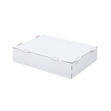 Kartona kaste bez lodziņa balta, 450x350x100 mm