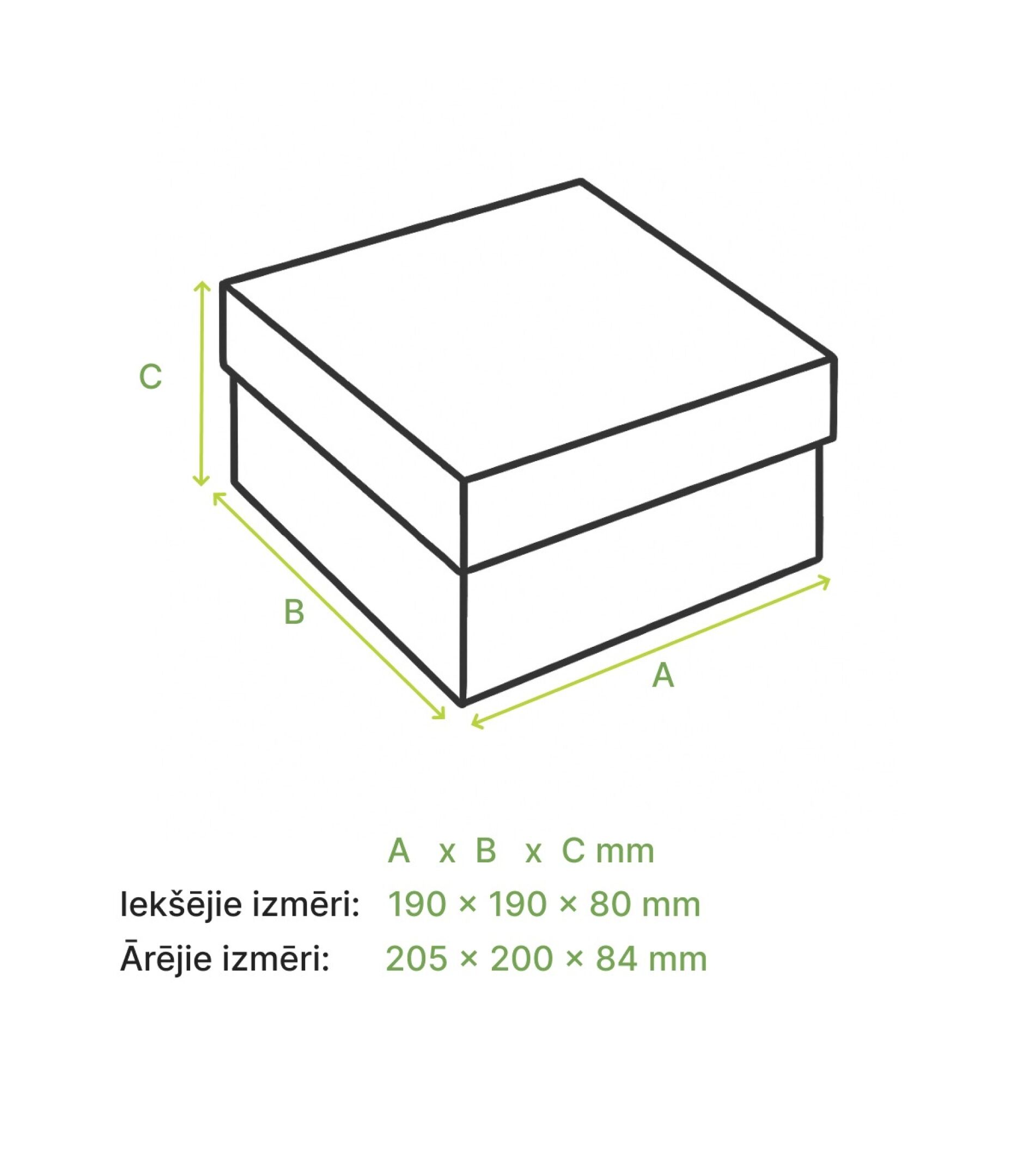 Attēls #4