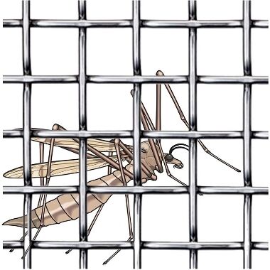 Karsti cinkots insektu siets 0,6x10 m