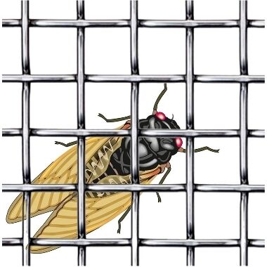 Karsti cinkots insektu siets 1x10 m