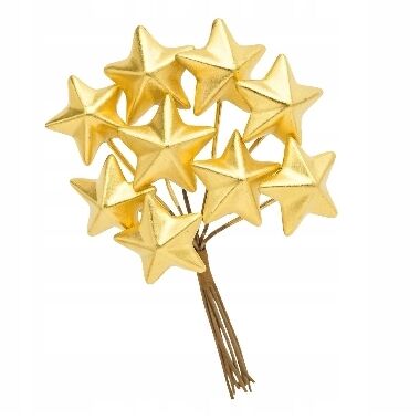 Dekoratīvas zelta zvaigznītes uz drāts, 12 gab.