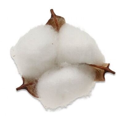 Dekoratīvi dabīgi kokvilnas ziedi, 12 gab.