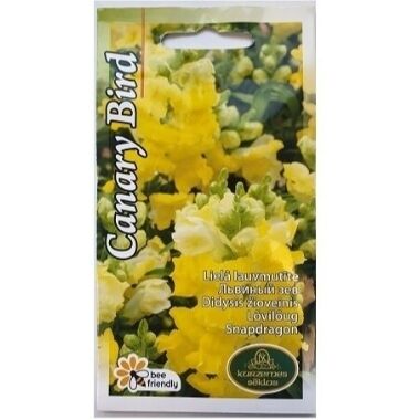 Lauvmutītes Canary Bird, Kurzemes sēklas, 0,2 g