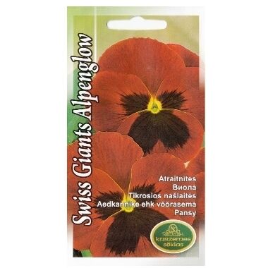 Atraitnītes Swiss Giants Alpenglow, Kurzemes sēklas, 0,15 g