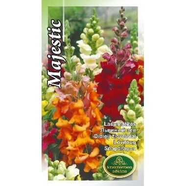 Lauvmutītes Majestic, Kurzemes sēklas, 0,5 g