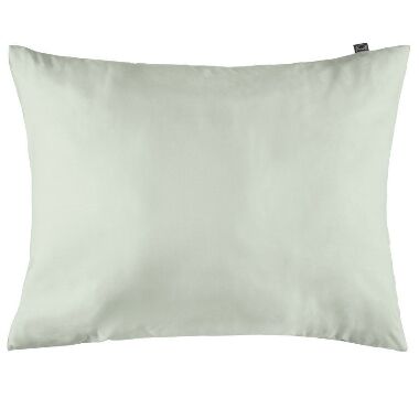 Spilvendrāna 50x60 cm zaļa, Fannik