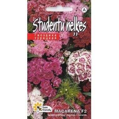Studentu neļķes MACARENA F2, Kurzemes sēklas, 0,5 g