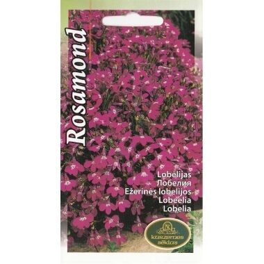 Lobēlija Rosamond, Kurzemes sēklas, 0,1 g