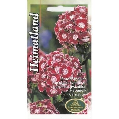 Studentu neļķes Heimatlans, Kurzemes sēklas, 0,5 g