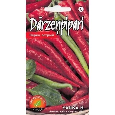 Pipari asie Yanka H, Kurzemes sēklas, 5 gab.