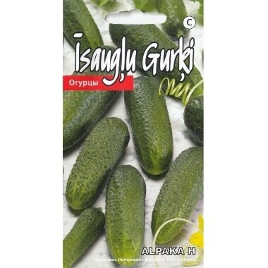 Lauka gurķi Alpaka H, Kurzemes sēklas, 0,3 g