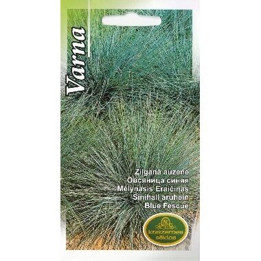 Zilganā auzene, Varna, 0,2 g