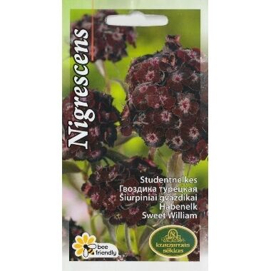 Studentu neļķes Nigrescens , Kurzemes sēklas, 0,5 g