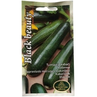 Kabači Black Beauty, Kurzemes sēklas, 2g