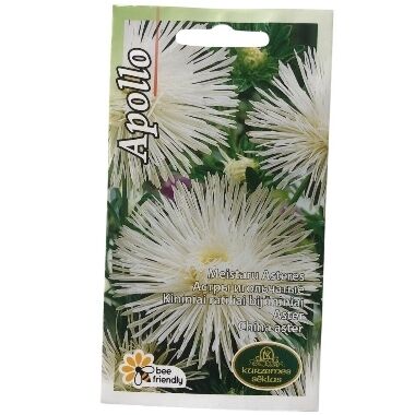 Asteres meisteru Apollo, Kurzemes sēklas, 0,5 g