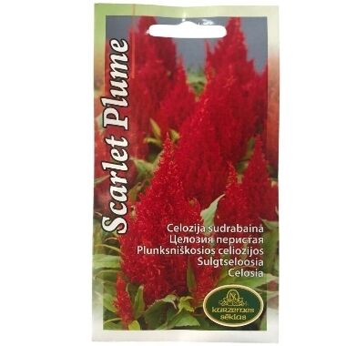 Celozija sudrabainā Scarlet Plume, Kurezemes sēklas, 0,3g