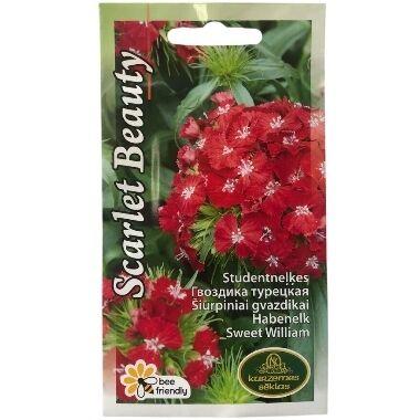 Studentu neļķes Scarlet Beauty, Kurzemes sēklas, 0,5 g