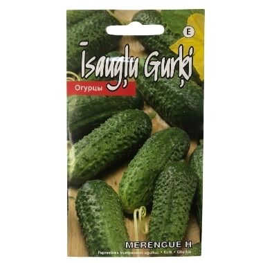 Lauka gurķi Merengue H, Kurzemes sēklas, 0,3 g