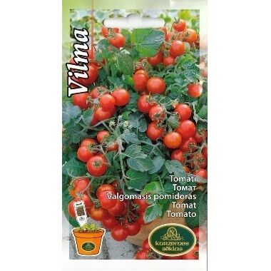 Tomāti balkona Vilma, Kurzemes sēklas, 0,1g