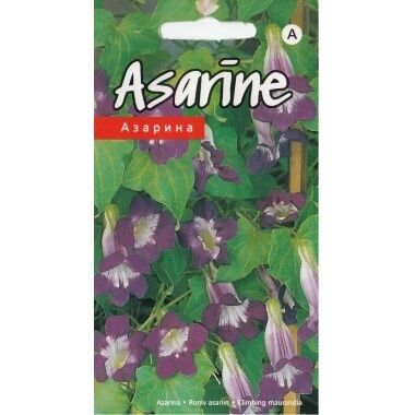 Asarīne violeta, Kurzemes sēklas, 10gab
